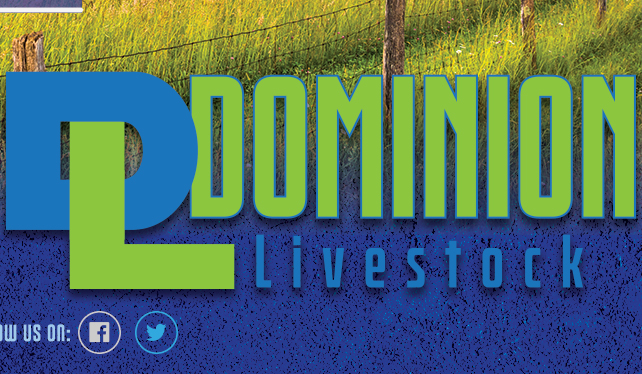 Dominion Livestock