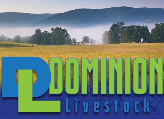 Dominion Livestock Company