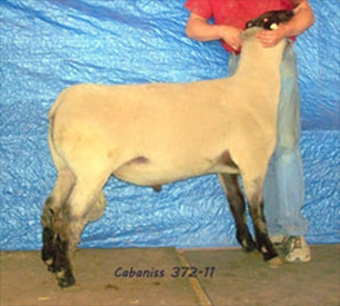 Cabaniss 372