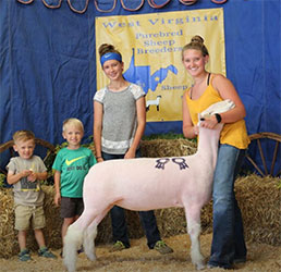 Dominion Livestock Winners
