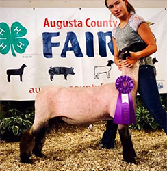 Dominion Livestock Winners
