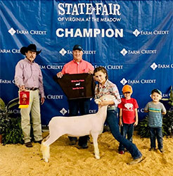 Dominion Livestock Winners
