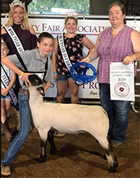 Dominion Livestock Winners