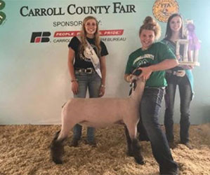 Dominion Livestock Winners