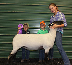 Dominion Livestock Winners