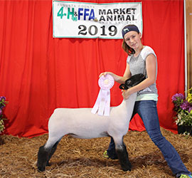 Dominion Livestock Winners