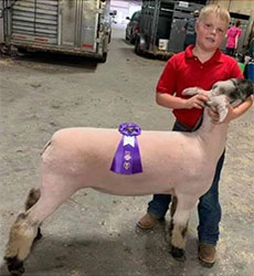 Dominion Livestock Winners