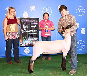 Dominion Livestock Winners