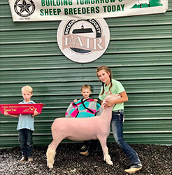Dominion Livestock Winners