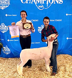 Dominion Livestock Winners
