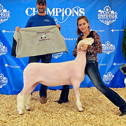 Dominion Livestock Winners